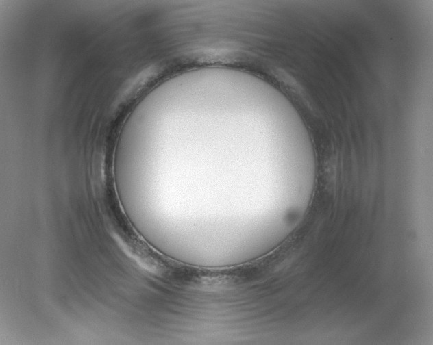 X0000082150686200702021635