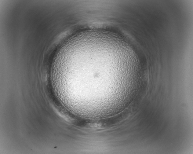 X0000082150687200702021635