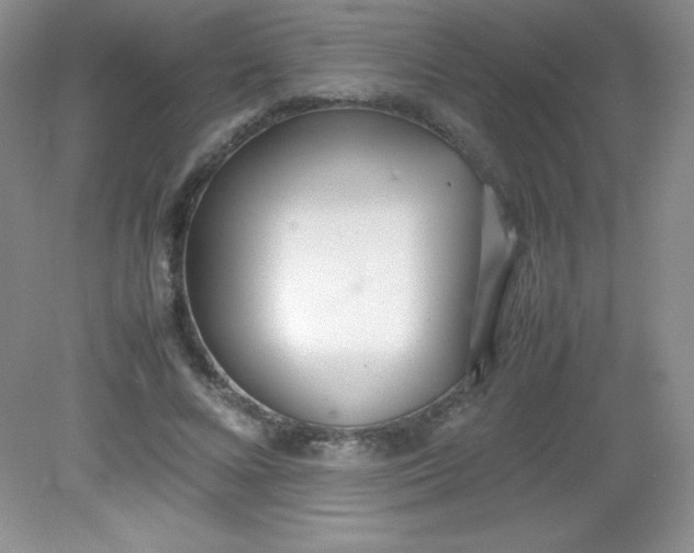 X0000082150688200702021635