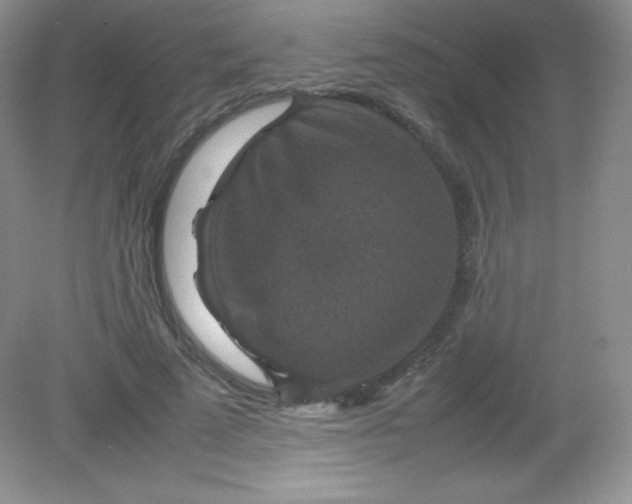 X0000082150689200702021635