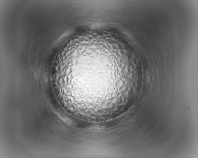 X0000082150691200702021635