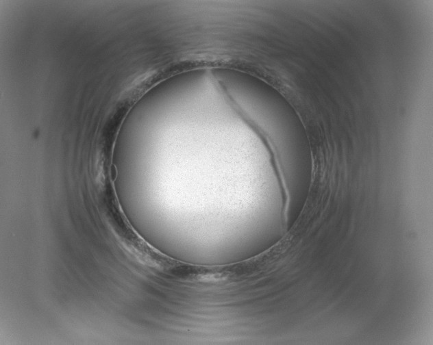 X0000082150692200702021635