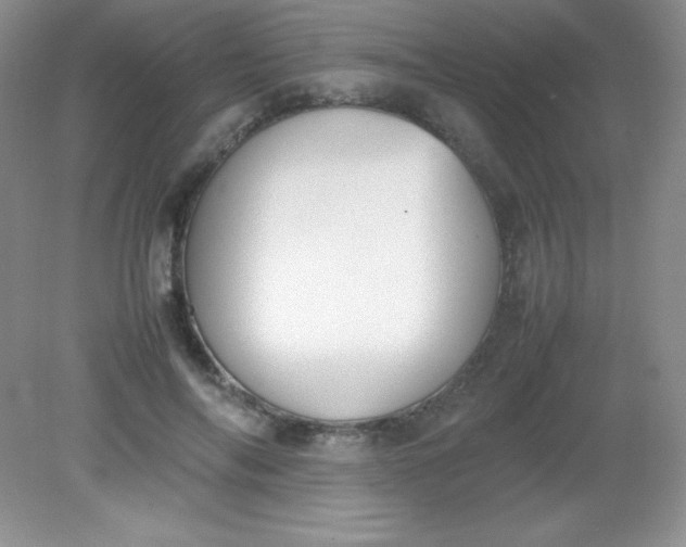 X0000082150694200702021635