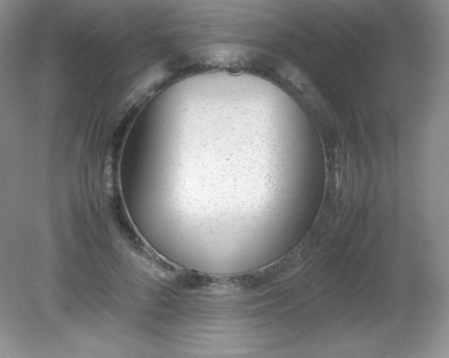 X0000082150696200702021635