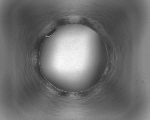 X0000082150697200702021635