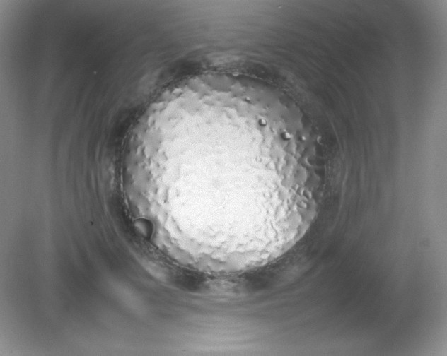 X0000082150703200702021635