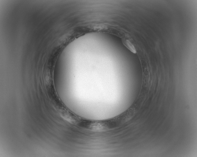 X0000082150704200702021635
