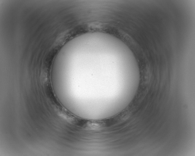 X0000082150706200702021635