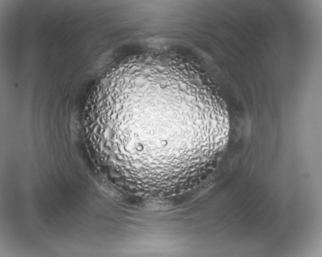 X0000082150707200702021635
