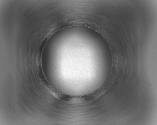 X0000082150708200702021635
