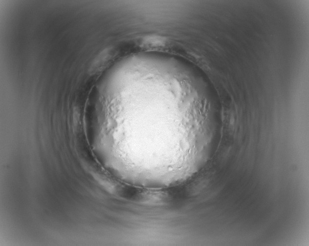 X0000082150711200702021635