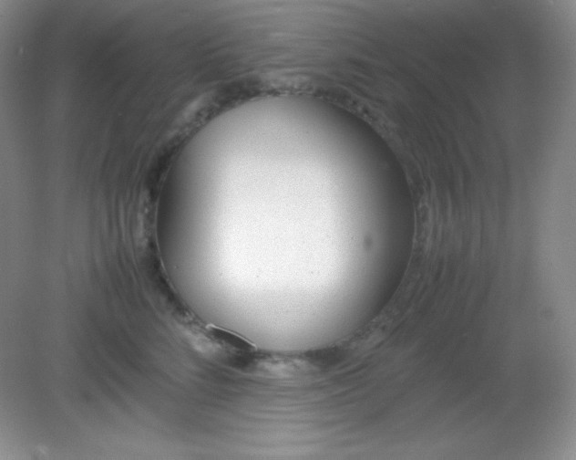 X0000082150712200702021635