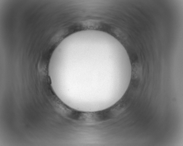 X0000082150713200702021635