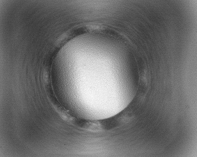 X0000082150715200702021635