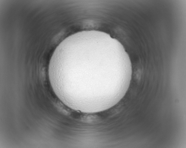 X0000082150716200702021635