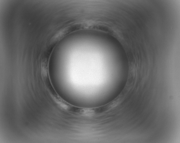X0000082150719200702021635
