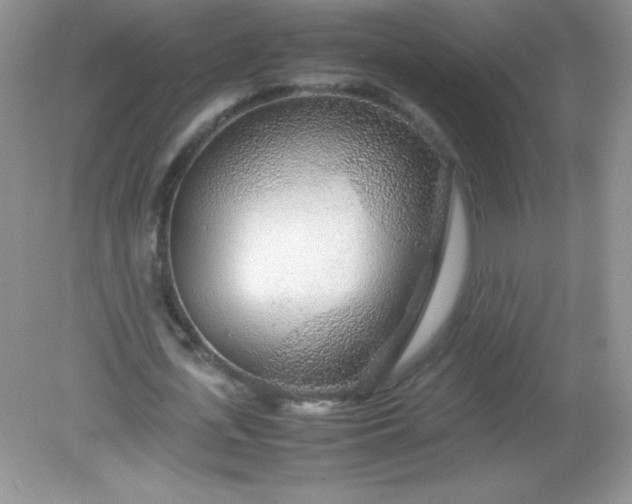 X0000082150723200702021634