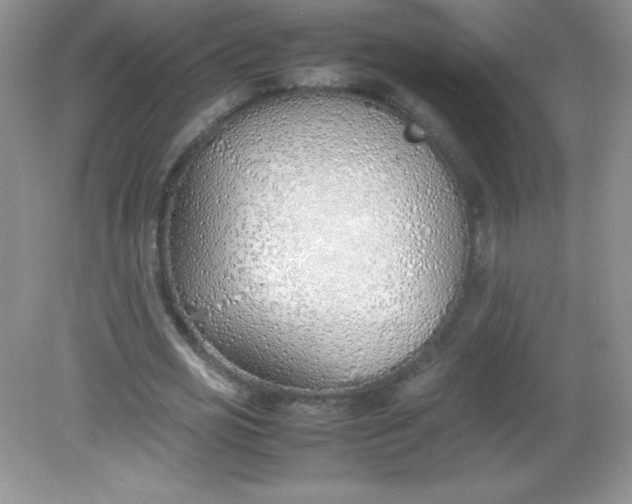 X0000082150725200702021634