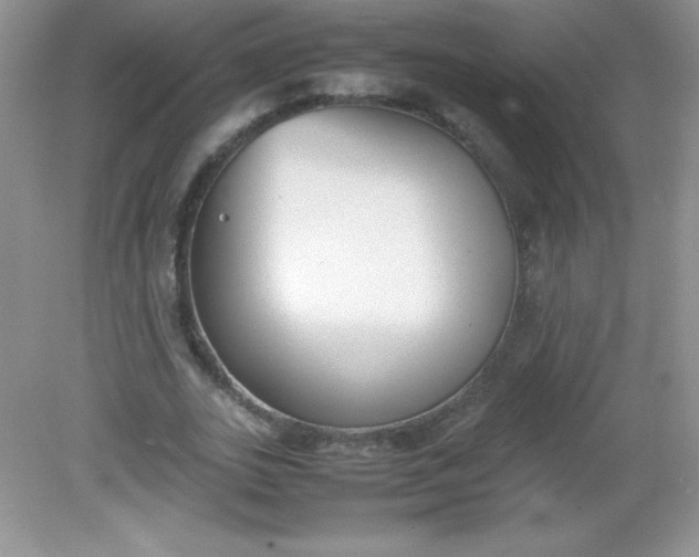 X0000082150727200702021634