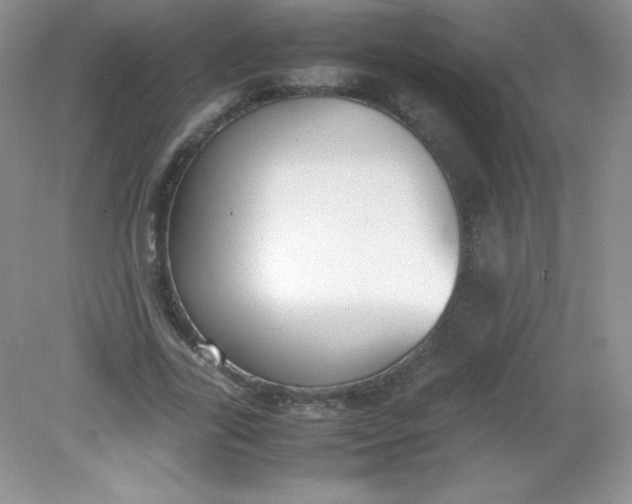 X0000082150731200702021634
