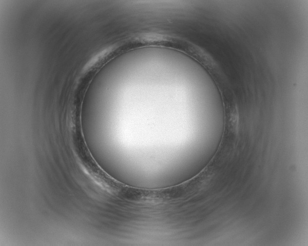 X0000082150732200702021634