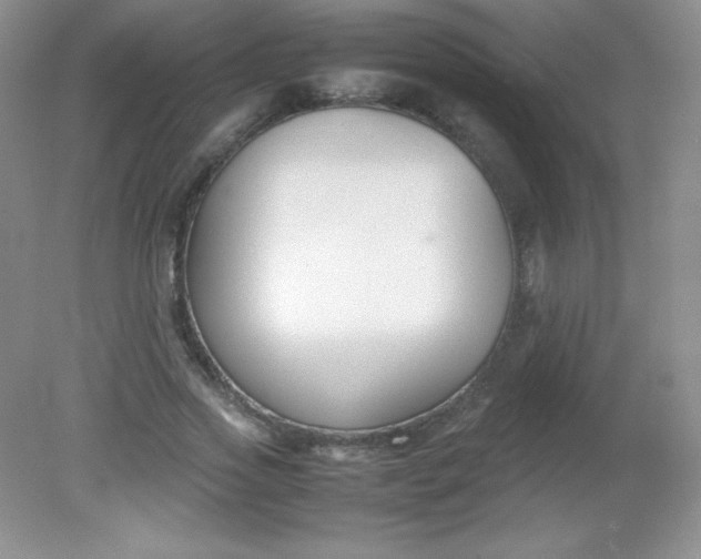 X0000082150733200702021634