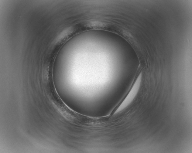 X0000082150735200702021634
