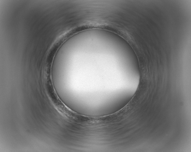 X0000082150736200702021634