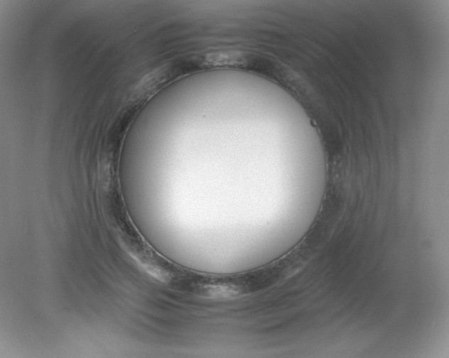 X0000082150741200702021634