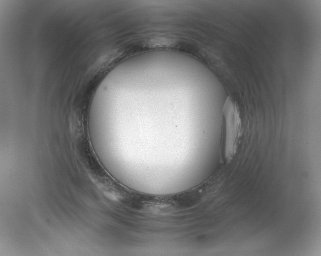 X0000082150743200702021634
