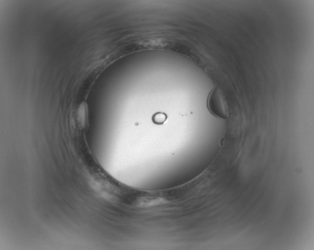 X0000082150747200702021634