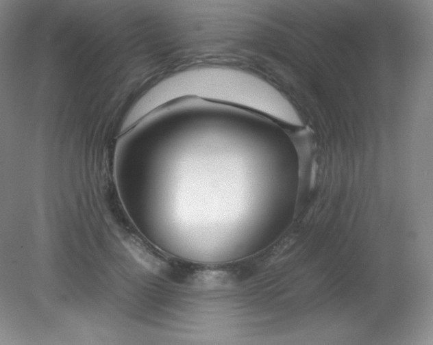 X0000082150748200702021634