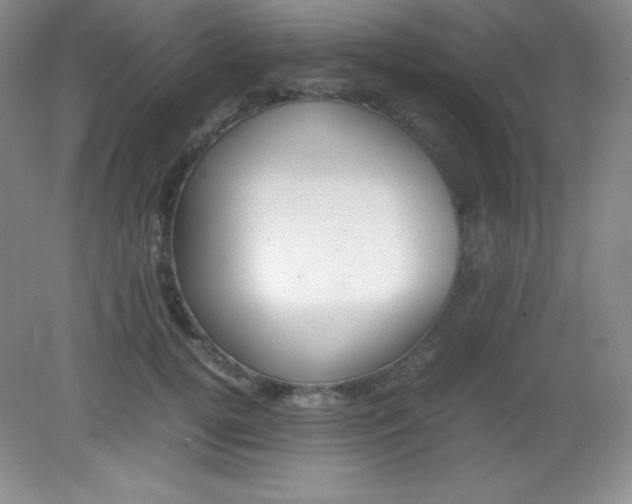 X0000082150752200702021634