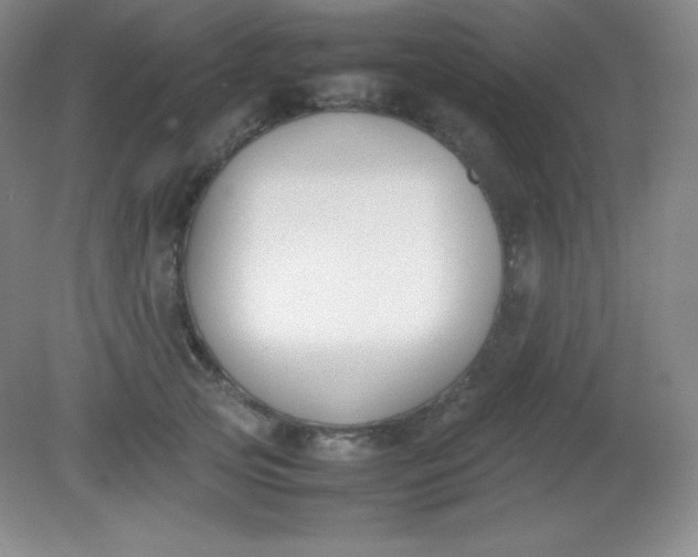 X0000082150753200702021634