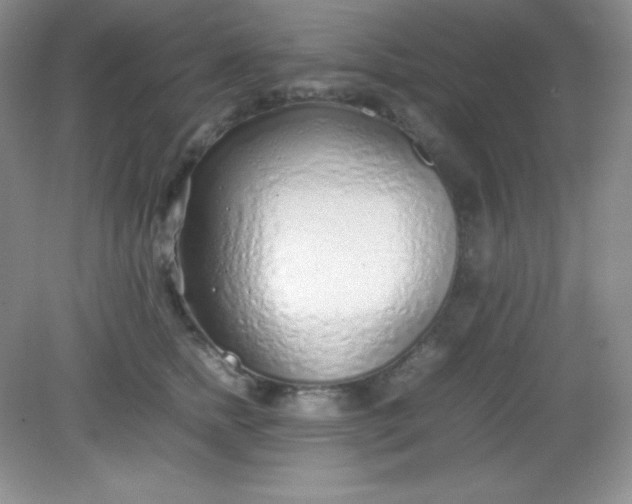 X0000082150758200702021635