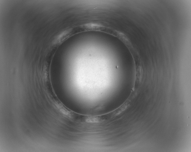 X0000082150762200702021635