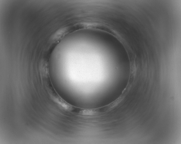 X0000082150766200702021635