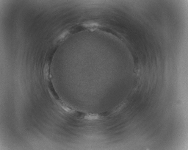 X0000082150767200702021635