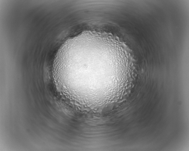 X0000082150772200702021634
