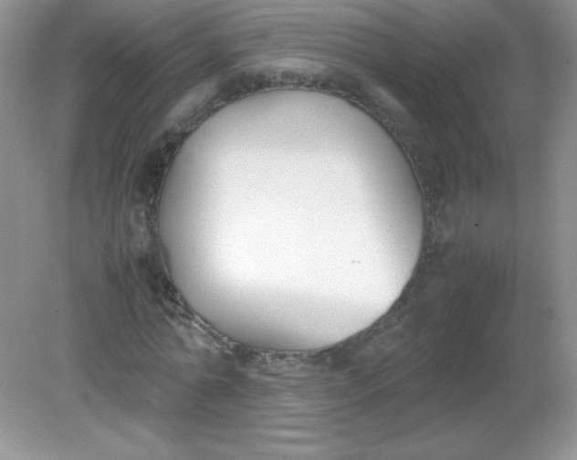 X0000082150774200702021634