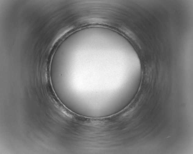 X0000082150782200702021634