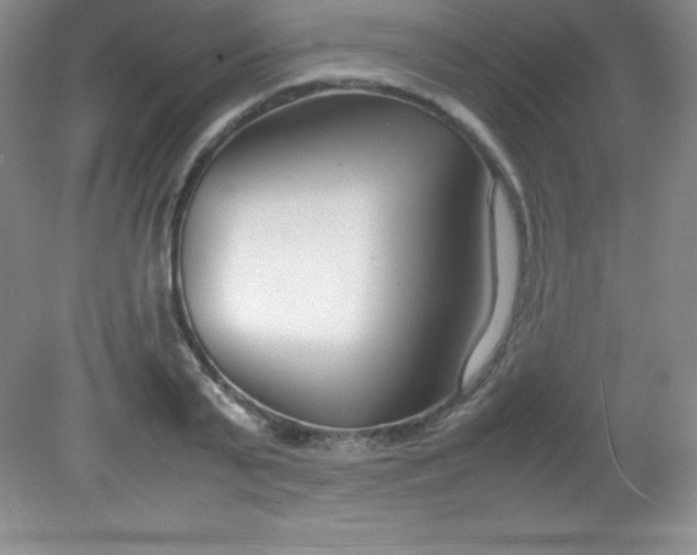 X0000082150791200702021634