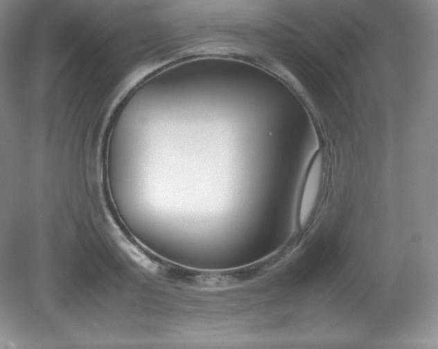 X0000082150795200702021634