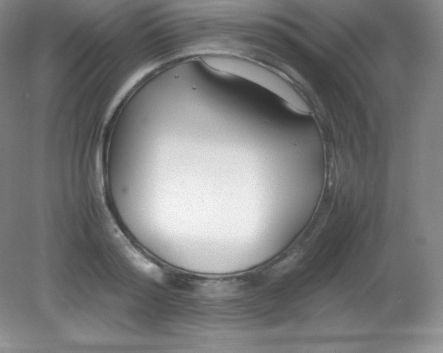 X0000082150796200702021633
