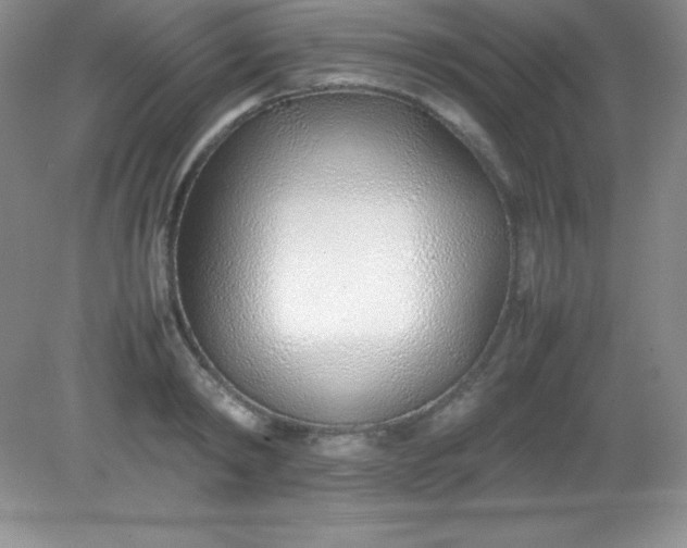 X0000082150798200702021633