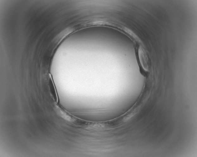 X0000082150801200702021633