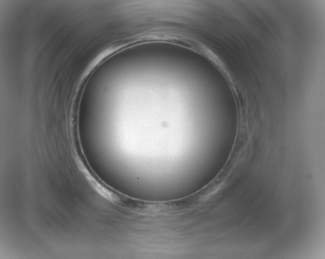 X0000082150803200702021633