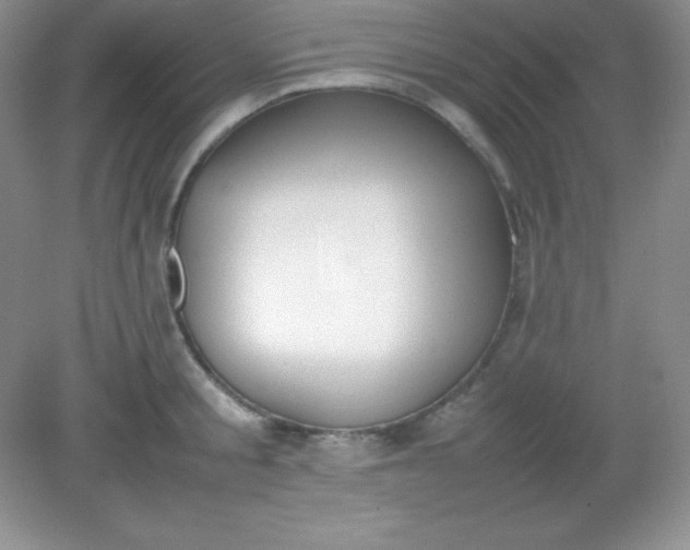 X0000082150805200702021633