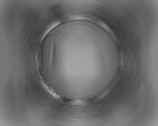 X0000082150806200702021633