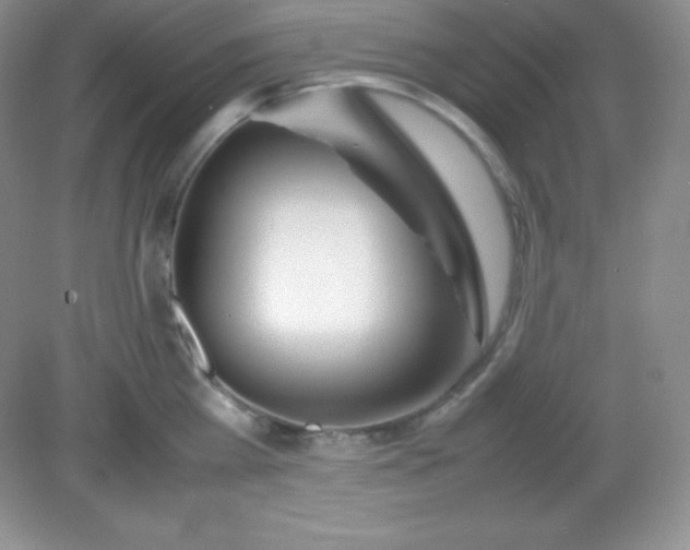 X0000082150809200702021633